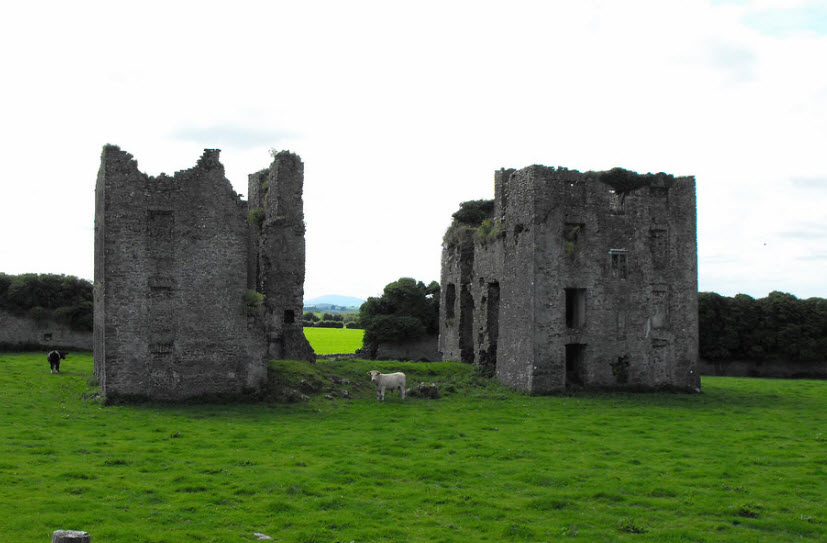 Ballinakill Castle, Ireland